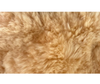 Pure Wool Car Wash Mit